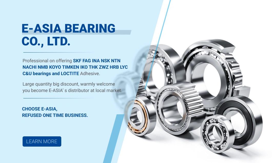 Wj1105 Stainless Steel Double Grooves Bearing 6200 6201zz 608 626 Auto Parts Wheel Bearing Non Standard Bearing Deep Groove Ball Bearing